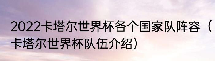 2022卡塔尔世界杯各个国家队阵容（卡塔尔世界杯队伍介绍）