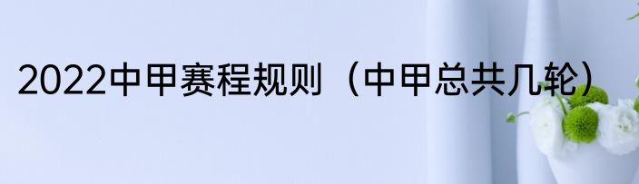 2022中甲赛程规则（中甲总共几轮）