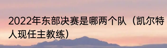 2022年东部决赛是哪两个队（凯尔特人现任主教练）