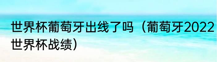 世界杯葡萄牙出线了吗（葡萄牙2022世界杯战绩）