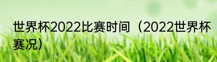 世界杯2022比赛时间（2022世界杯赛况）