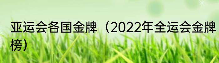 亚运会各国金牌（2022年全运会金牌榜）