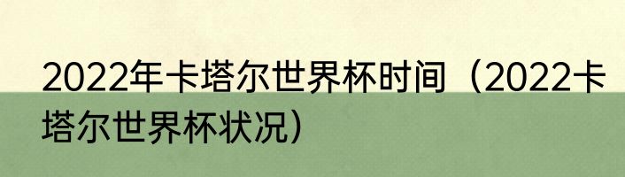 2022年卡塔尔世界杯时间（2022卡塔尔世界杯状况）
