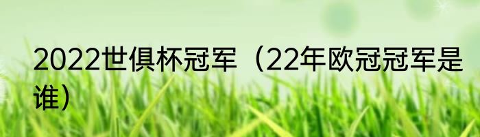 2022世俱杯冠军（22年欧冠冠军是谁）