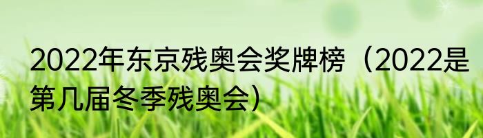 2022年东京残奥会奖牌榜（2022是第几届冬季残奥会）