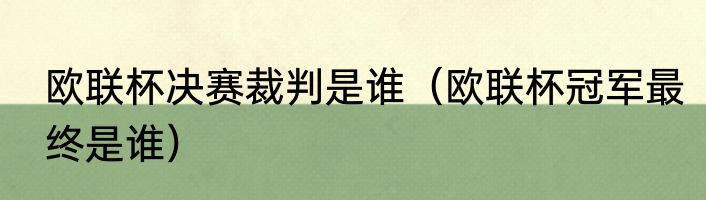 欧联杯决赛裁判是谁（欧联杯冠军最终是谁）