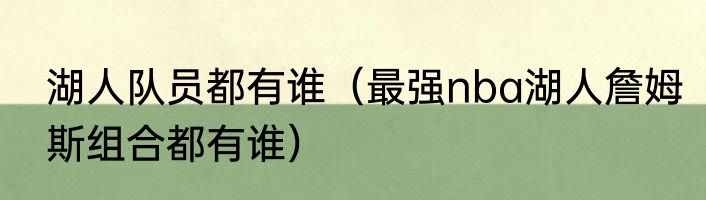 湖人队员都有谁（最强nba湖人詹姆斯组合都有谁）