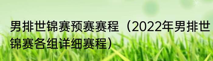 男排世锦赛预赛赛程（2022年男排世锦赛各组详细赛程）