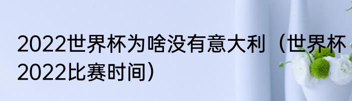 2022世界杯为啥没有意大利（世界杯2022比赛时间）