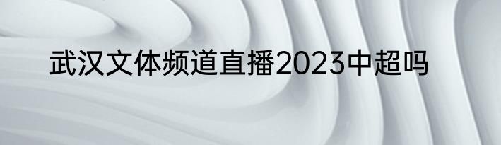 武汉文体频道直播2023中超吗