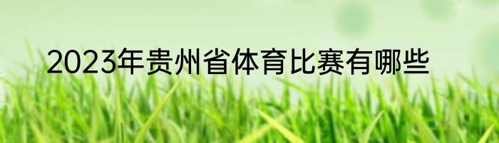 2023年贵州省体育比赛有哪些