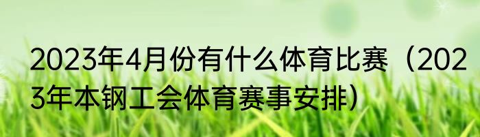 2023年4月份有什么体育比赛（2023年本钢工会体育赛事安排）