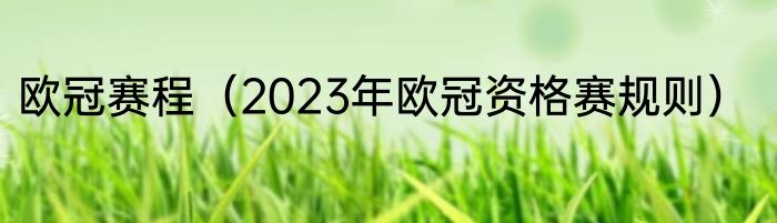 欧冠赛程（2023年欧冠资格赛规则）