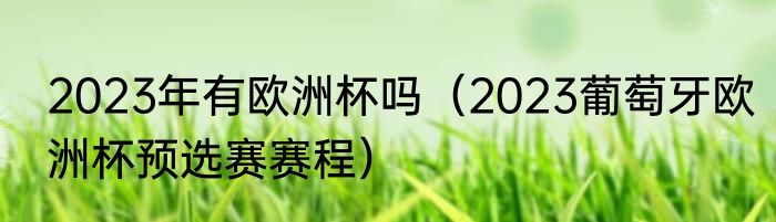 2023年有欧洲杯吗（2023葡萄牙欧洲杯预选赛赛程）