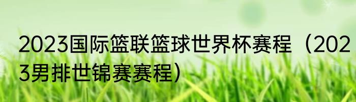 2023国际篮联篮球世界杯赛程（2023男排世锦赛赛程）