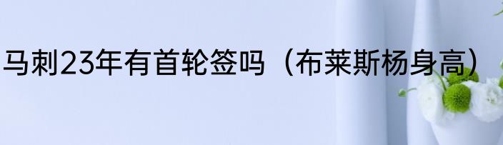 马刺23年有首轮签吗（布莱斯杨身高）