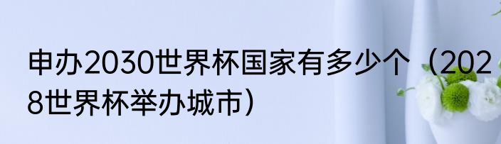 申办2030世界杯国家有多少个（2028世界杯举办城市）