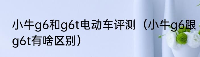 小牛g6和g6t电动车评测（小牛g6跟g6t有啥区别）