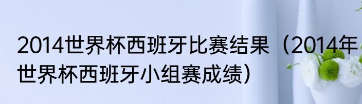 2014世界杯西班牙比赛结果（2014年世界杯西班牙小组赛成绩）