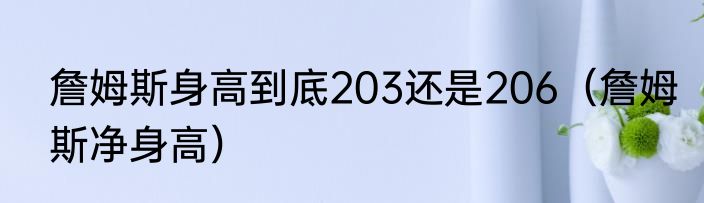 詹姆斯身高到底203还是206（詹姆斯净身高）