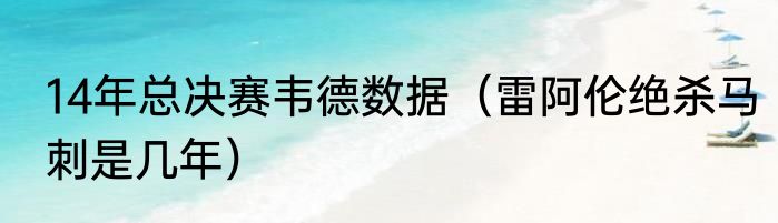 14年总决赛韦德数据（雷阿伦绝杀马刺是几年）