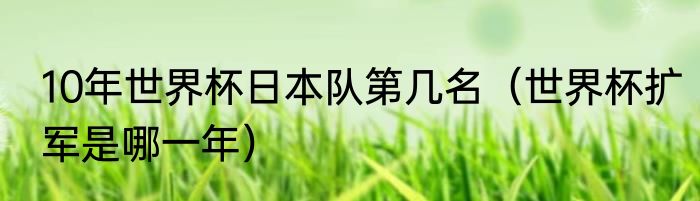 10年世界杯日本队第几名（世界杯扩军是哪一年）