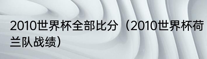 2010世界杯全部比分（2010世界杯荷兰队战绩）