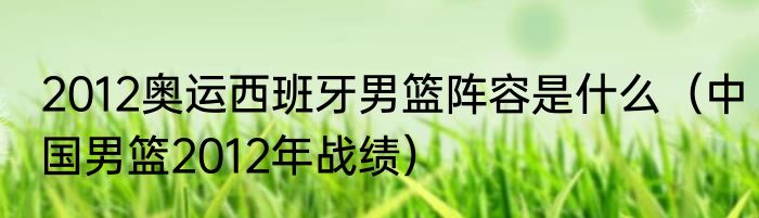 2012奥运西班牙男篮阵容是什么（中国男篮2012年战绩）
