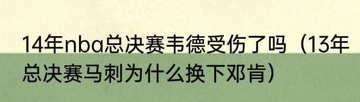 14年nba总决赛韦德受伤了吗（13年总决赛马刺为什么换下邓肯）