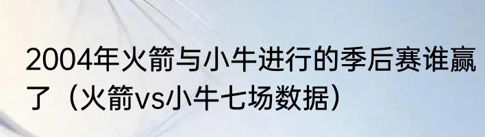 2004年火箭与小牛进行的季后赛谁赢了（火箭vs小牛七场数据）