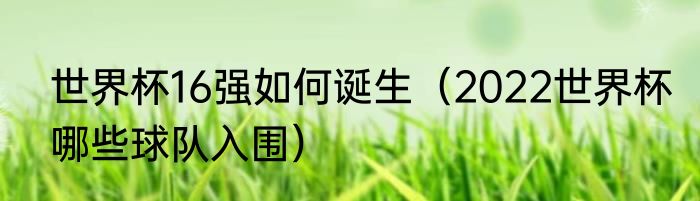 世界杯16强如何诞生（2022世界杯哪些球队入围）