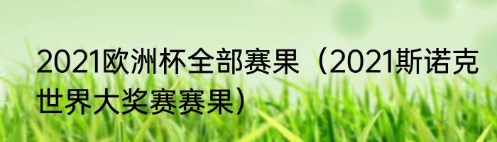 2021欧洲杯全部赛果（2021斯诺克世界大奖赛赛果）