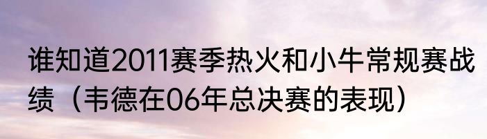 谁知道2011赛季热火和小牛常规赛战绩（韦德在06年总决赛的表现）