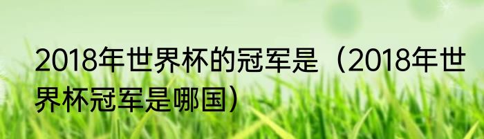 2018年世界杯的冠军是（2018年世界杯冠军是哪国）