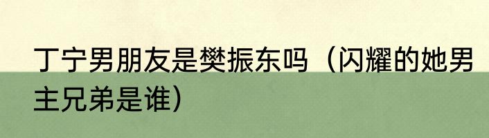 丁宁男朋友是樊振东吗（闪耀的她男主兄弟是谁）