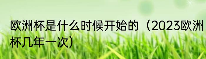 欧洲杯是什么时候开始的（2023欧洲杯几年一次）