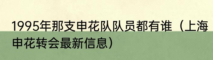 1995年那支申花队队员都有谁（上海申花转会最新信息）