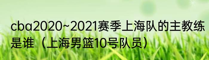 cba2020~2021赛季上海队的主教练是谁（上海男篮10号队员）