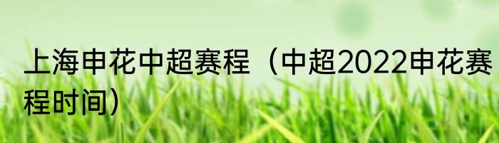上海申花中超赛程（中超2022申花赛程时间）