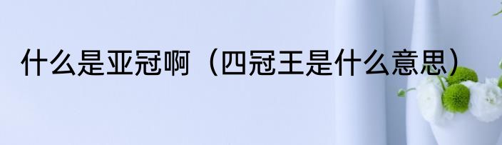 什么是亚冠啊（四冠王是什么意思）