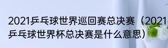 2021乒乓球世界巡回赛总决赛（2021乒乓球世界杯总决赛是什么意思）