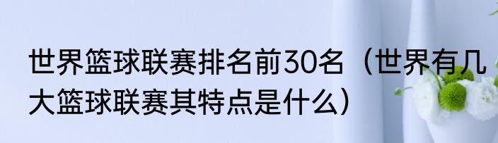 世界篮球联赛排名前30名（世界有几大篮球联赛其特点是什么）