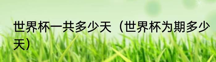 世界杯一共多少天（世界杯为期多少天）