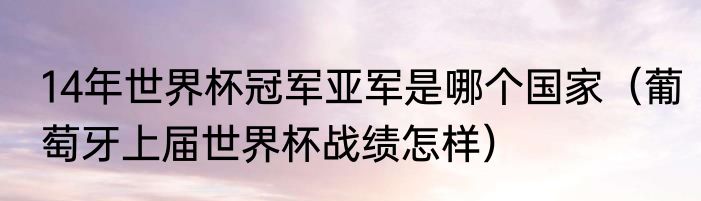 14年世界杯冠军亚军是哪个国家（葡萄牙上届世界杯战绩怎样）