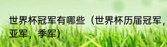 世界杯冠军有哪些（世界杯历届冠军，亚军，季军）