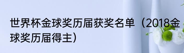 世界杯金球奖历届获奖名单（2018金球奖历届得主）