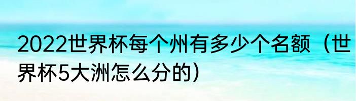 2022世界杯每个州有多少个名额（世界杯5大洲怎么分的）