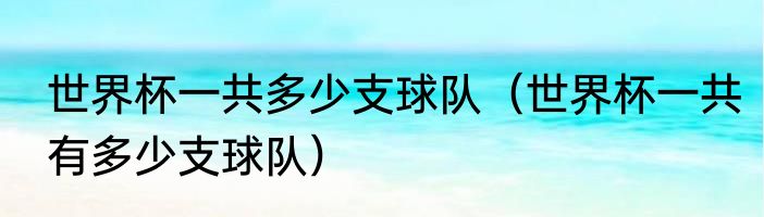 世界杯一共多少支球队（世界杯一共有多少支球队）