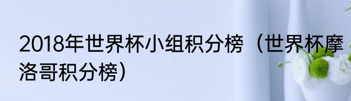 2018年世界杯小组积分榜（世界杯摩洛哥积分榜）