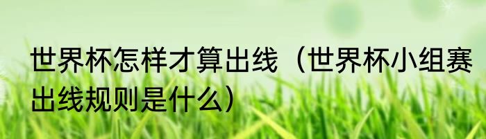 世界杯怎样才算出线（世界杯小组赛出线规则是什么）